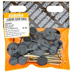 6K25 - Roof Nail & Cap